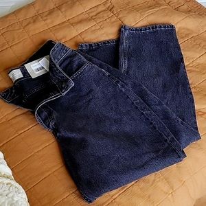 Everlane Curvy 90' Cheeky Jean Crop